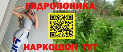 амф Усть-Джегута